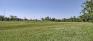 Tom Chester Park West - Open Area