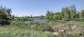 Tom Chester Park West - Pond - North Side