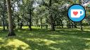 Caron Park - North Forested Area
