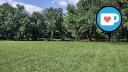 Caron Park - Northeast Treeline
