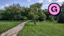 Beauchemin Park - Treeline - Central Path - Facing East