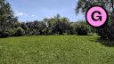 Beauchemin Park - Treeline - NE Clearing - Facing SW