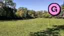 Beauchemin Park - Treeline - South Clearing - Facing North