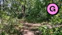 Beauchemin Park - Forest Trail - Facing East