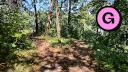 Beauchemin Park - Forest Trail - Facing North