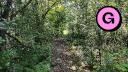 Beauchemin Park - Forest Trail Exit - Facing Southwest