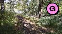 Beauchemin Park - Forest Trail - Facing North