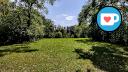 Beauchemin Park - Treeline - NE Clearing - Facing South