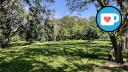 Beauchemin Park - Treeline - NW Clearing - Facing NE