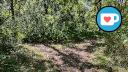 Beauchemin Park - Forest Trails - Facing SW