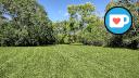 Beauchemin Park - Treeline - Northeast Clearing