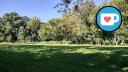 Beauchemin Park - Treeline - Southwest Clearing