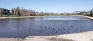 Dovercourt Park - Pond