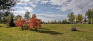Linden Ridge Park - Autumn Leaves