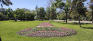Andrew Currie Park - Flower Bed