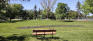 Andrew Currie Park - South Edge