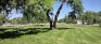 Andrew Currie Park - West Edge
