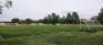 Bourkevale Park - Soccer Field