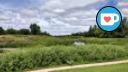 Sturgeon Creek - Near Hamilton Bridge