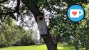 Daly Gardens - Fort Whyte Alive Bird House