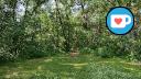 La Fleche Park - North Treeline