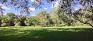 Beauchemin Park - Open Area