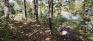 Beauchemin Park - Access to Assiniboine River