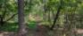 Sandra Crowson Park - Trails - Cut Trunk