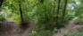 Bergen Cutoff Park - Raised Trails