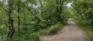 Bergen Cutoff Park - Main Trail