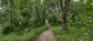 Bergen Cutoff Park - Main Trail