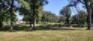 Centennial Park - Picnic Area