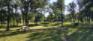 Centennial Park - Trail - South Edge