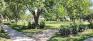 Montrose Park - Northwest Corner