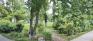 Cordova Park - Northwest Corner
