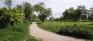 Churchill Drive Park - Pathway - Facing South