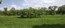 Churchill Drive Park - Patch of Trees