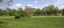 Churchill Drive Park - Patch of Trees