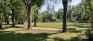Fisher Park - Northeast Corner