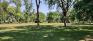 Fisher Park - North Open Area
