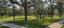 T.R. Hodgson Park - Northwest Corner
