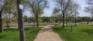 Lyndale Drive Park South - Larchwood Entrance