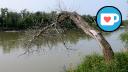 St. Charles Forest - Assiniboine River - Bent Tree