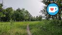 St. Charles Forest - Trail - West Edge