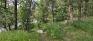 St. Charles Forest - Dirt Bike Ramps