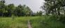 St. Charles Forest - Pathway - Facing East