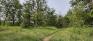 St. Charles Forest - Pathways - Facing West