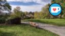 Pathway to Mill