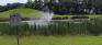 Isbister Park - Pond - NE Corner