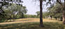 St. Charles Grove - Open Area
